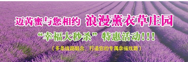 迈芮蜜与您相约浪漫薰衣草庄园